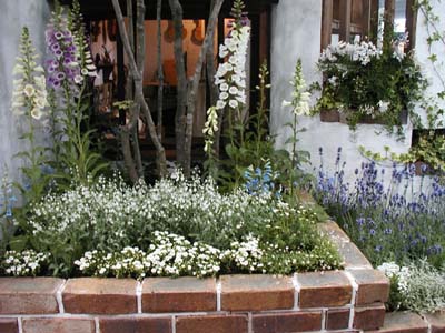 f0059818_17273761.jpg