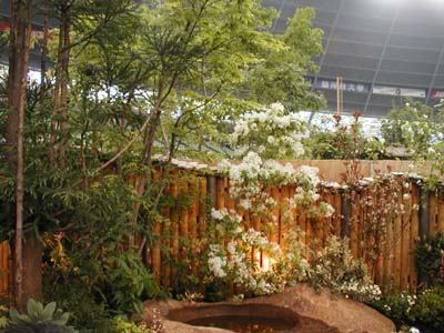 f0059818_17275778.jpg