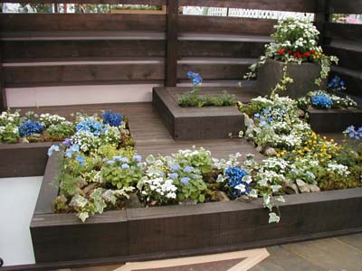 f0059818_1730435.jpg
