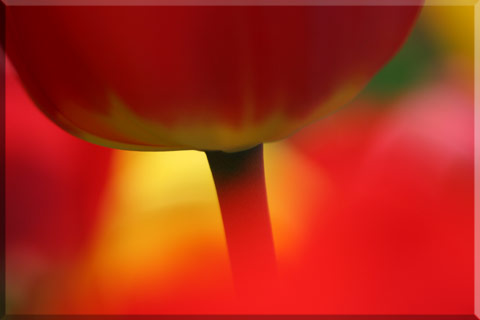 e0001123_17173078.jpg