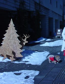 f0071123_1720275.jpg