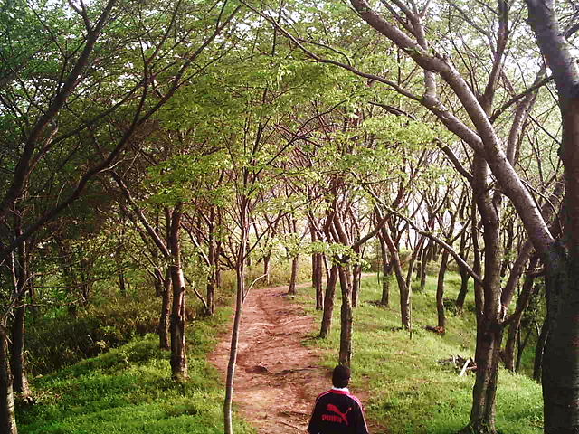 f0079723_3505097.jpg