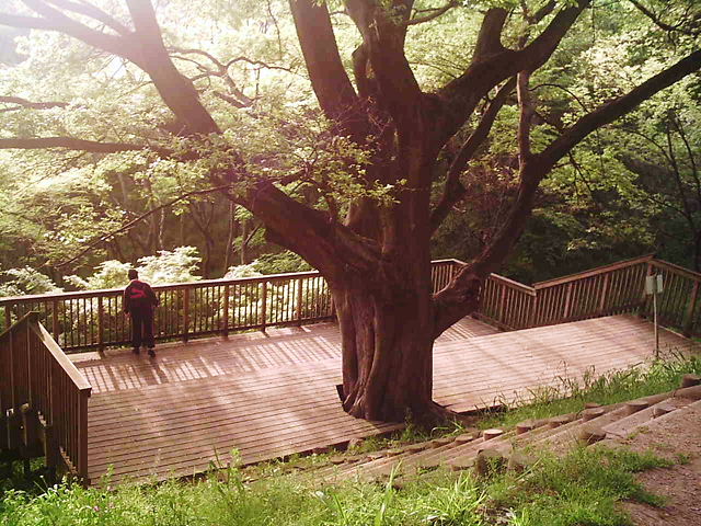 f0079723_3585954.jpg