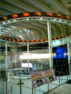 f0080223_253106.jpg