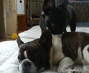 b0076733_1315581.jpg