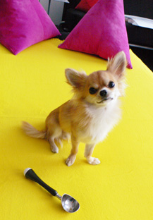 c0052933_2554114.jpg