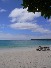 d0066133_16331011.jpg