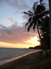 d0066133_16484899.jpg