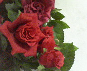 c0046340_22513060.jpg