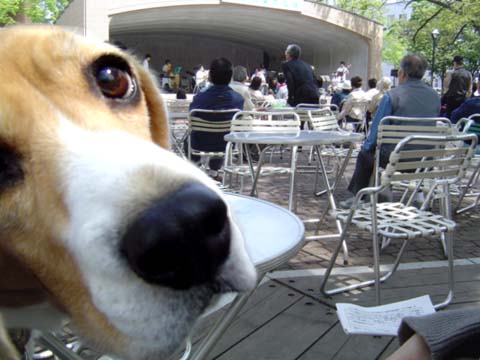 a0042044_143644100.jpg