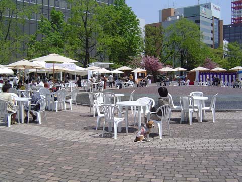 a0042044_14464745.jpg
