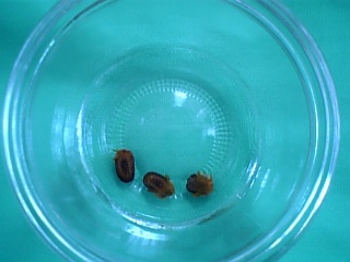 f0053847_9142571.jpg