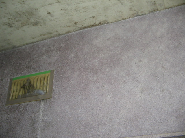 b0071653_15383710.jpg