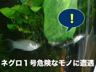 a0030054_021964.jpg