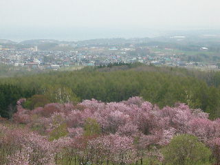 e0004756_19594542.jpg