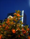 d0029958_21143350.jpg