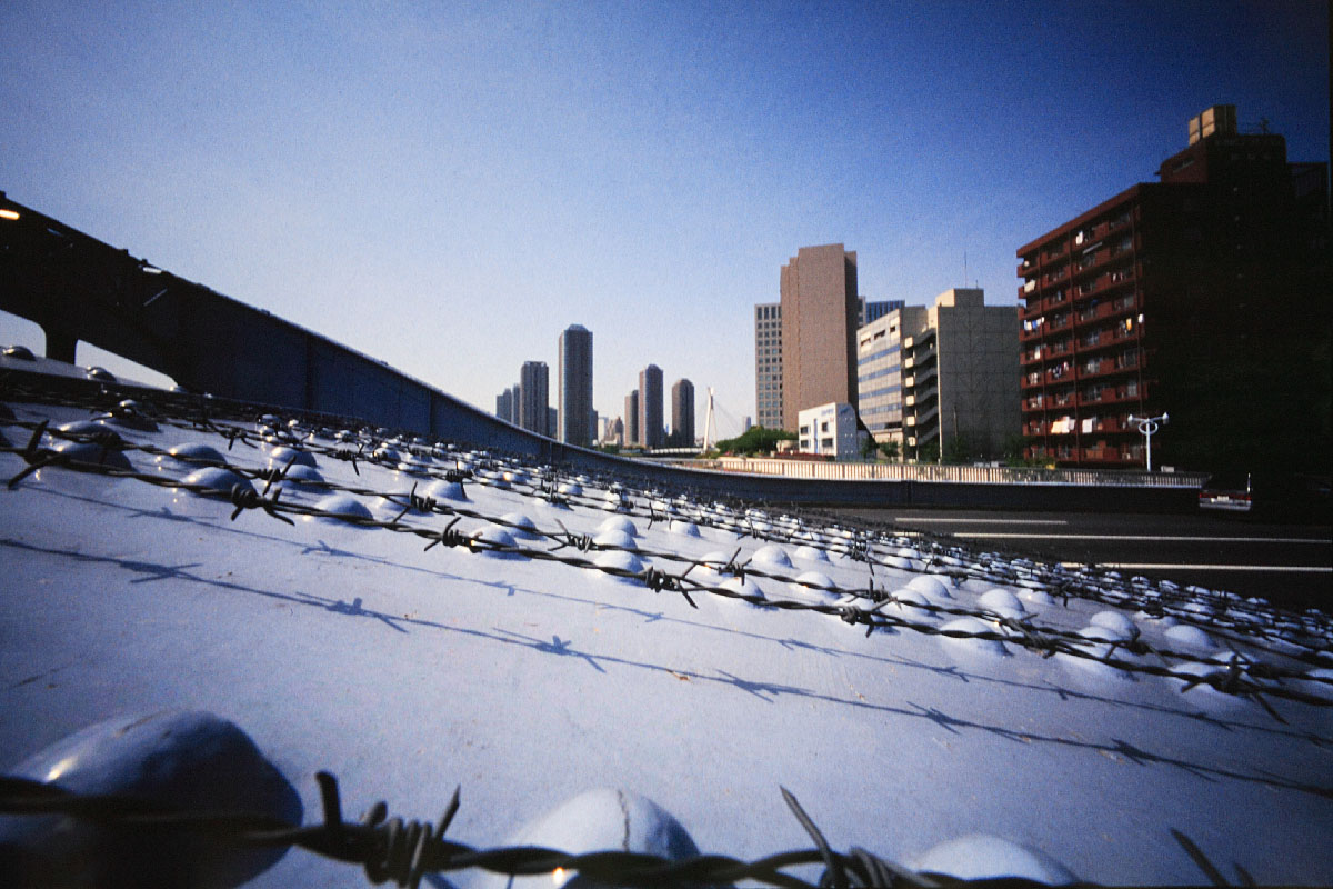 d0032258_63455.jpg