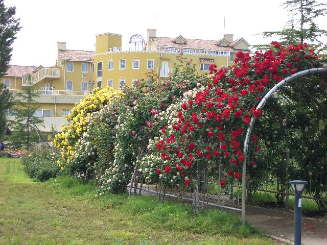 b0095760_16285746.jpg