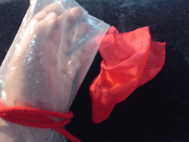 f0071362_6241777.gif