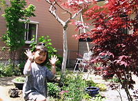 b0091866_23039100.jpg