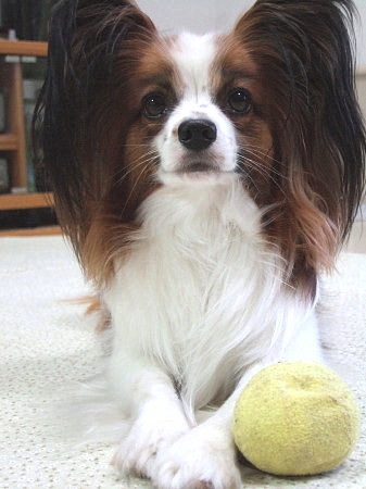 c0044199_2210393.jpg