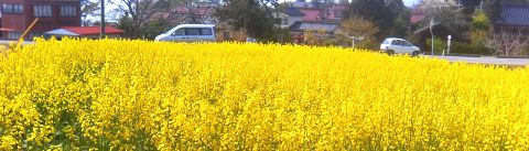 c0048701_23363670.jpg