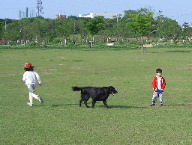 c0056707_11521036.jpg