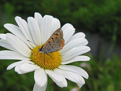 a0041508_21133745.jpg