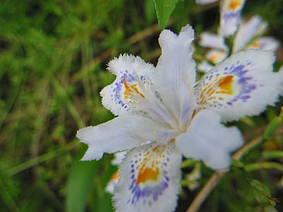 a0041508_21143727.jpg