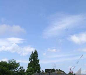f0036716_1348123.jpg