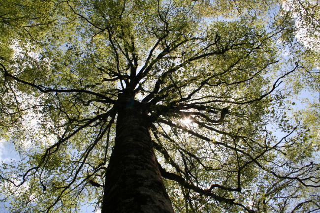 f0017530_2139521.jpg
