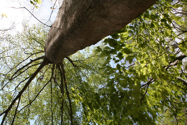 f0017530_21402839.jpg