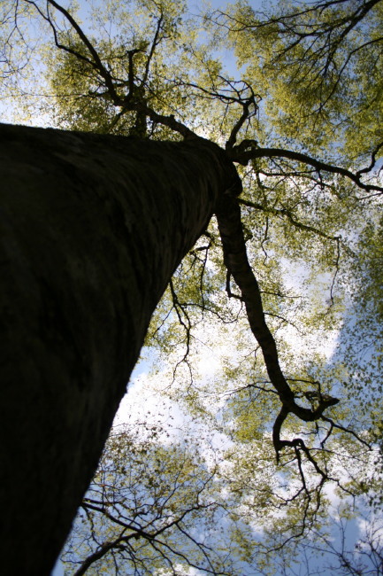 f0017530_21413078.jpg