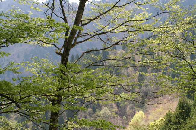 f0017530_21474172.jpg