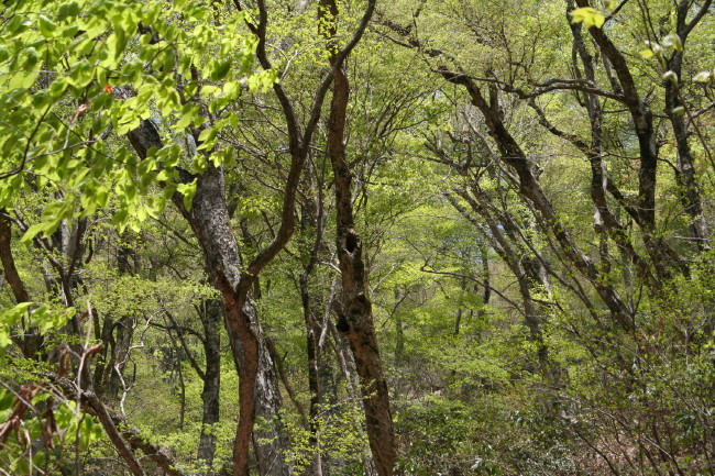 f0017530_21552569.jpg