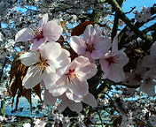 f0089537_20362042.jpg