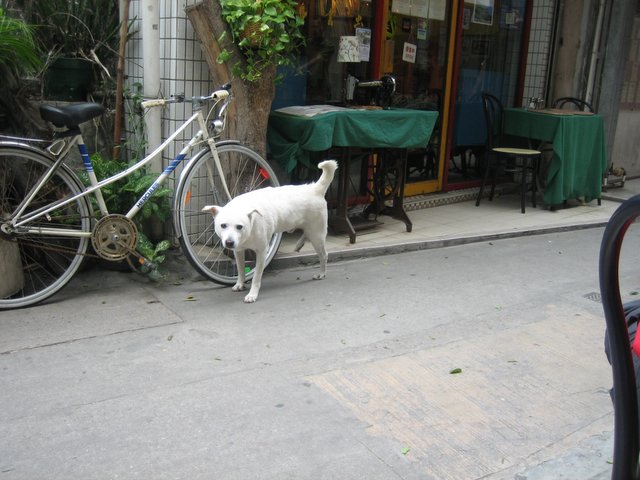 e0018143_2235972.jpg