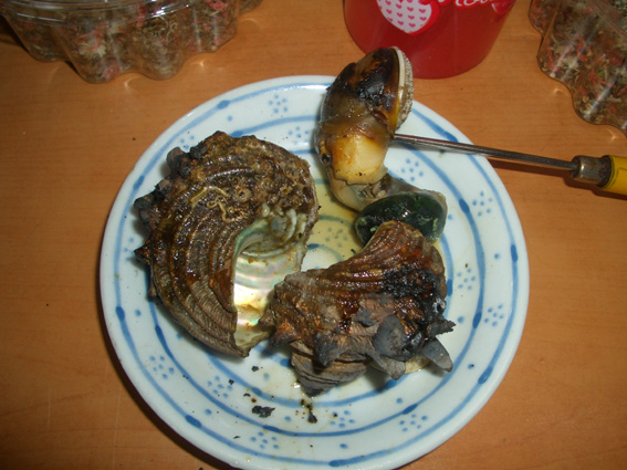 b0002156_11151134.jpg