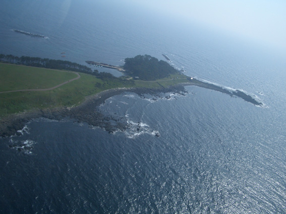 b0002156_11194954.jpg