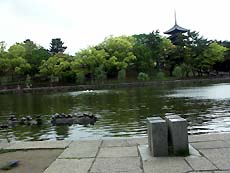 b0044663_13322145.jpg