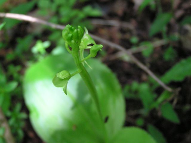 c0042869_2116217.jpg