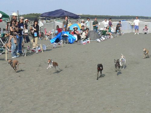 e0062371_2157163.jpg