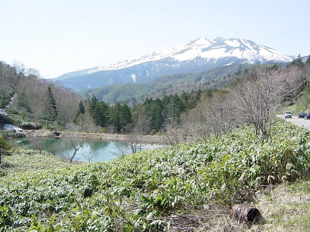 f0043774_21183910.jpg