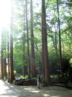 f0074680_21491161.jpg
