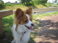 f0035288_2243778.jpg