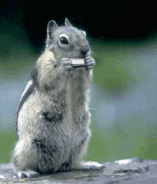 f0006989_2350328.gif