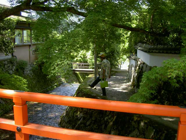 c0060693_20265948.jpg
