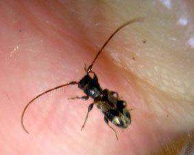 e0083097_22151416.jpg