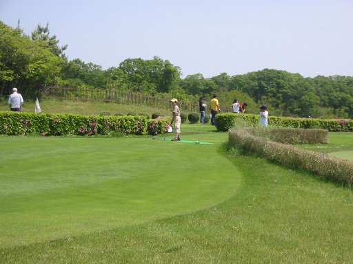 f0013998_20583365.jpg