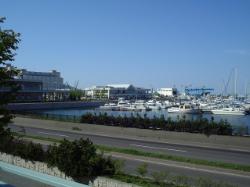 f0052608_0252636.jpg